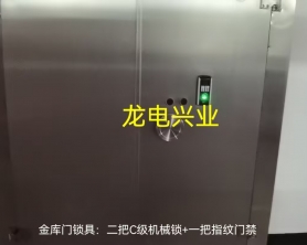 中山某保税仓库用A级双开金库门  重型抗爆门，配电子指纹门禁锁，材质：304不锈钢